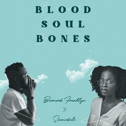 Cover of Blood Soul Bones