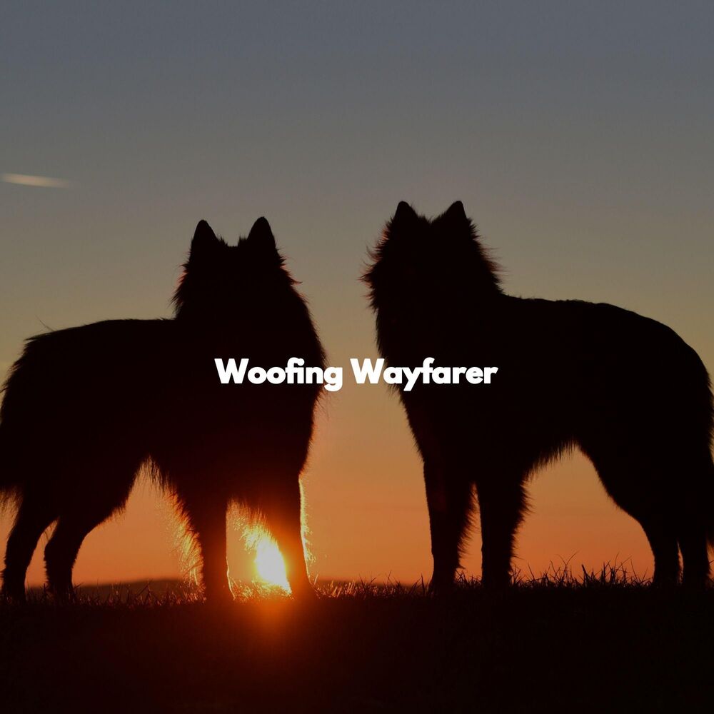 Picture of Woofing Wayfarer