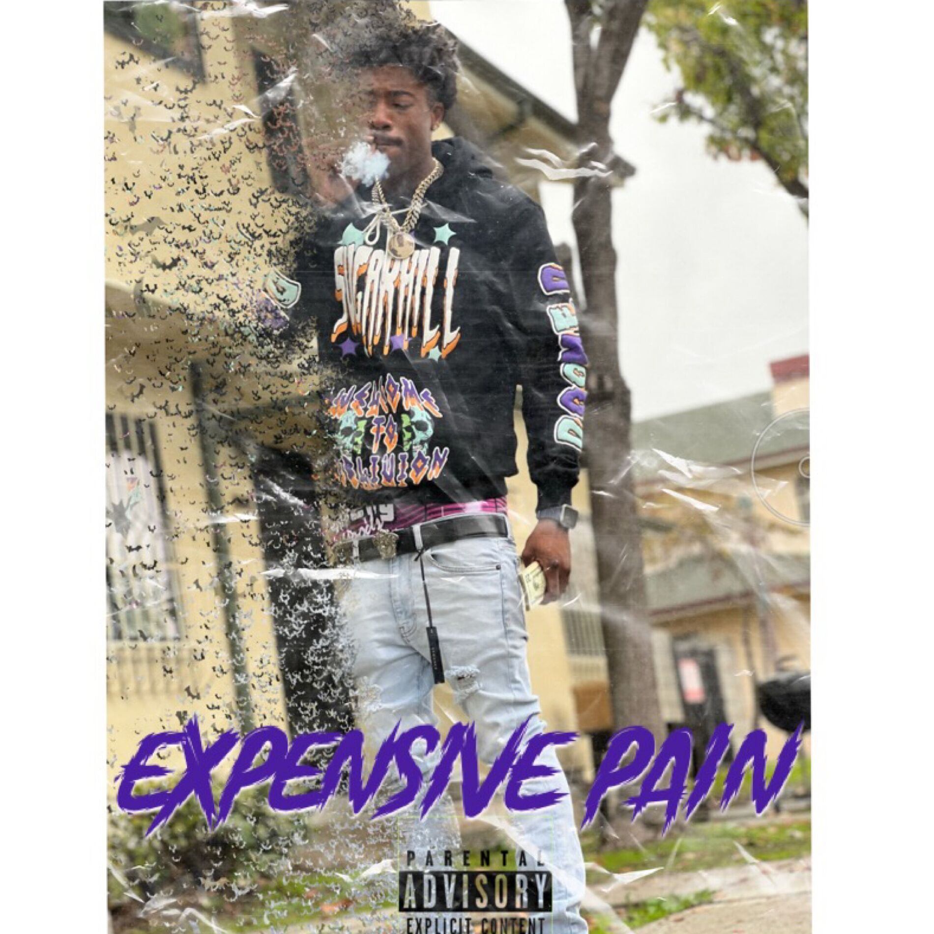 Album cover of Expensive Pain