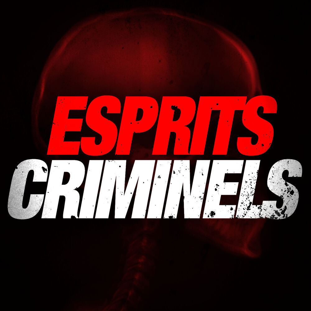 Picture of Esprits Criminels (Générique / Thème Série Télé)