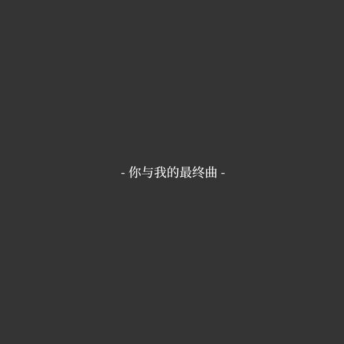 你与我的最终曲