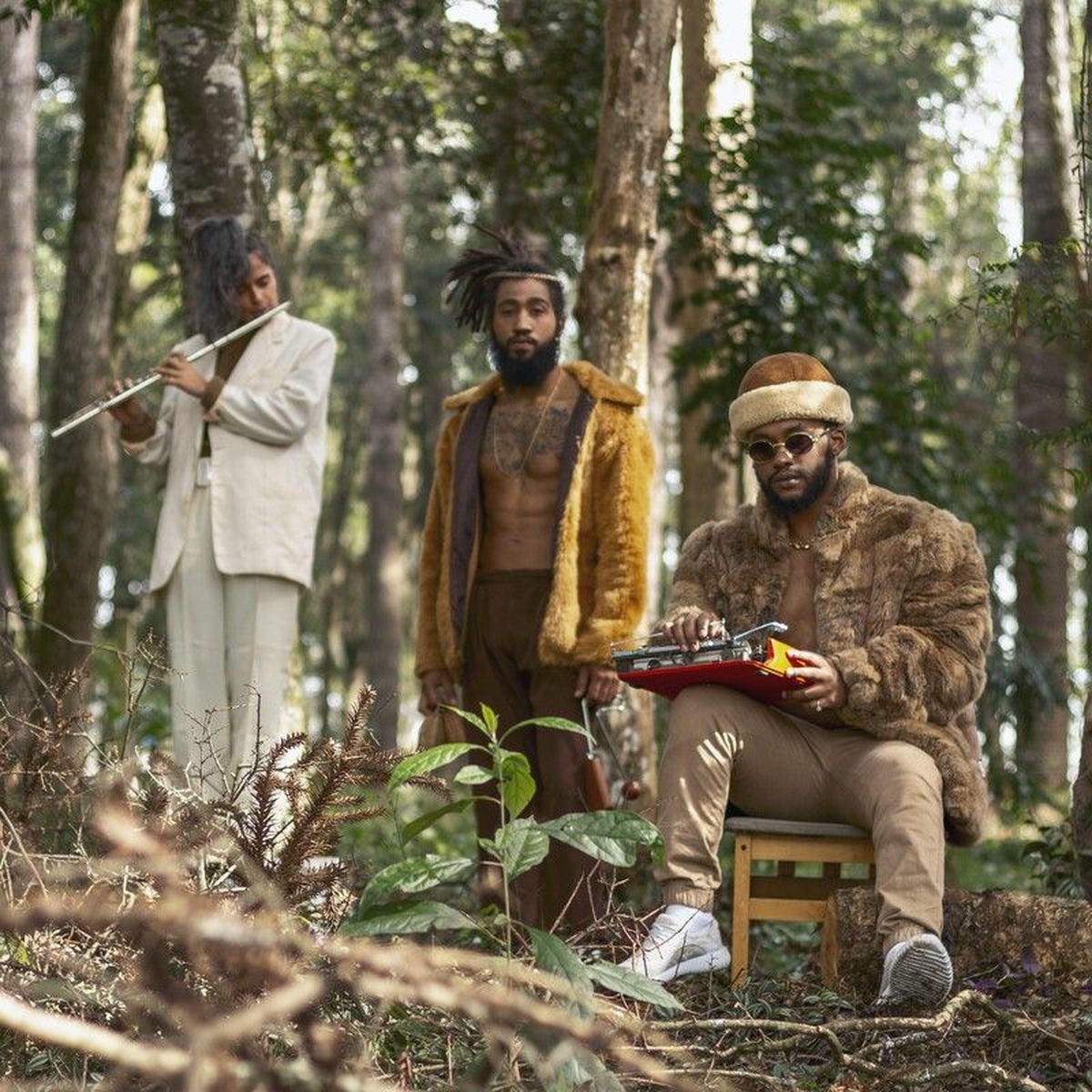 Album cover of Pau Brasil