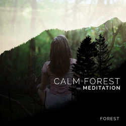 Cover of Calm Forest Meditation
