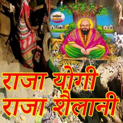 Cover of Raja Yogi Raja Shailani