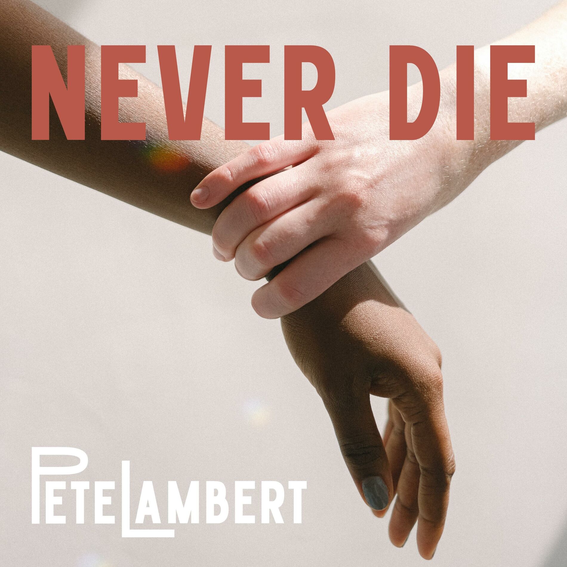 Album cover of Never Die