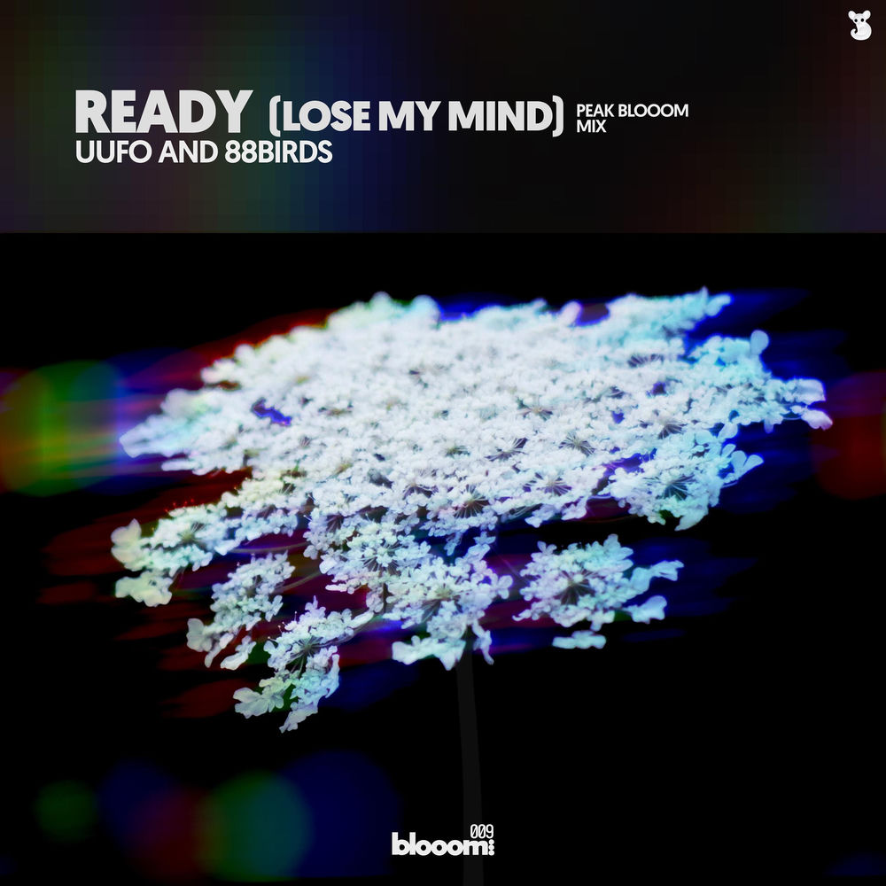 Ready (Lose My Mind) (Peak Blooom Radio Mix)