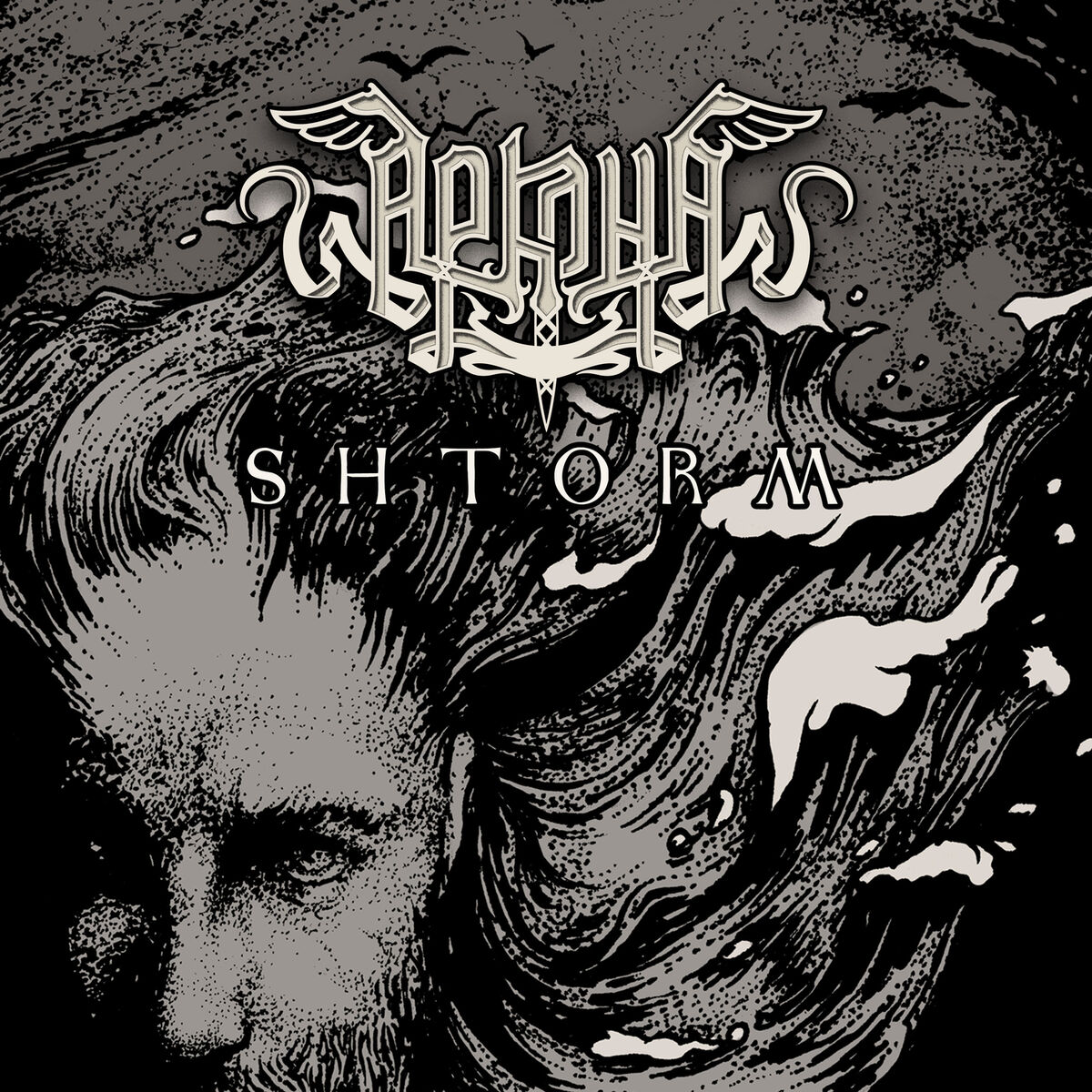 Album cover of Shtorm