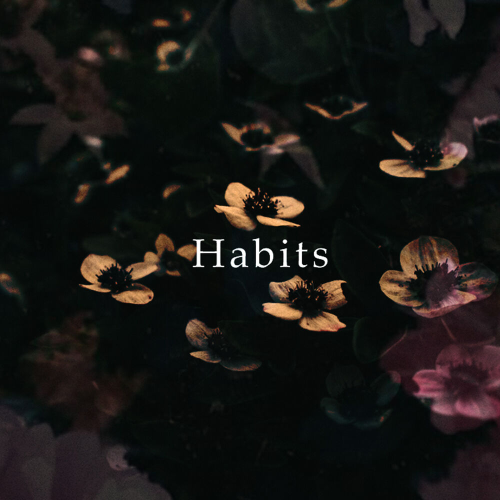 Picture of Habits (feat. LeeBruh Greene)