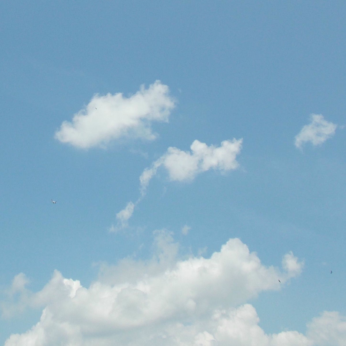 Album cover of things to remember