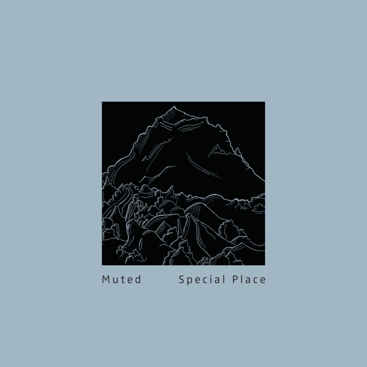 Album cover of Special Place