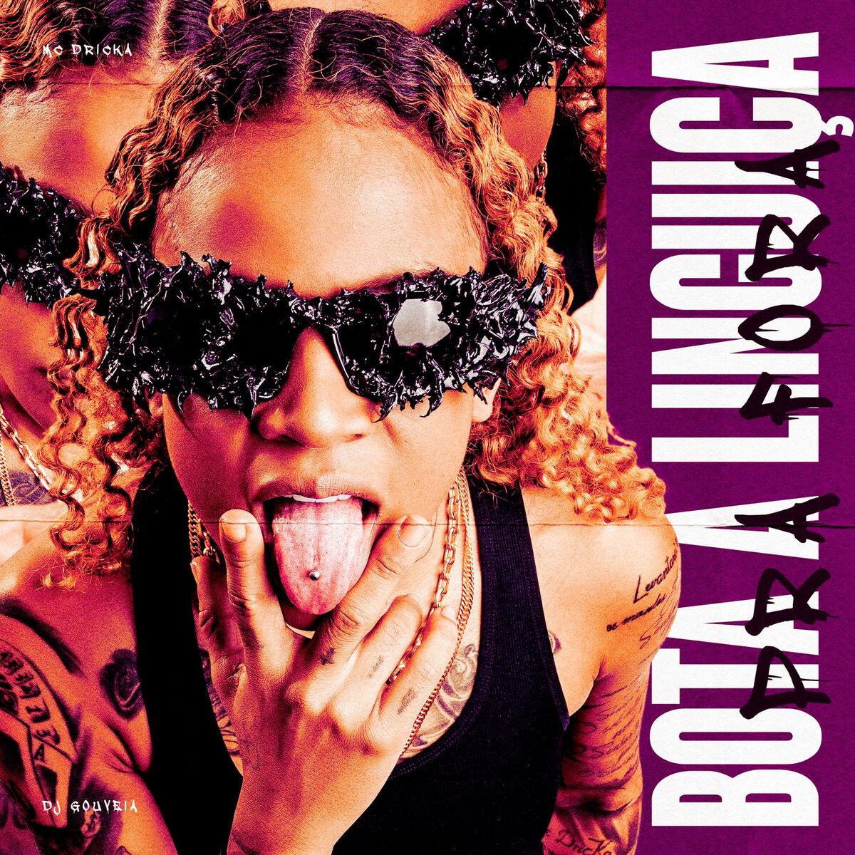 Album cover of Bota A Linguiça Pra Fora
