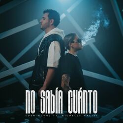 Cover of No Sabía Cuánto