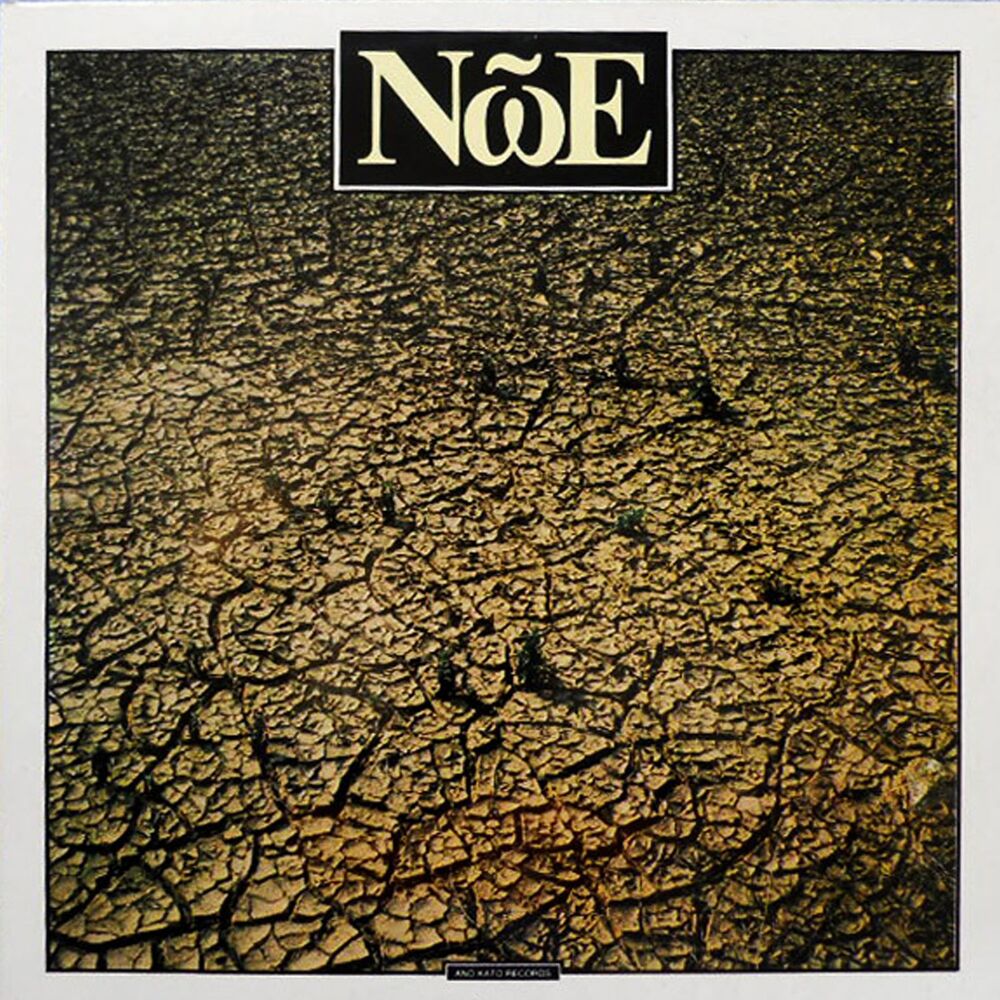 Picture of Noe