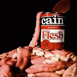 Cover of A Pound of Flesh
