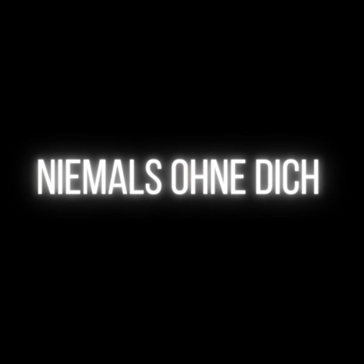 Album cover of Niemals ohne Dich