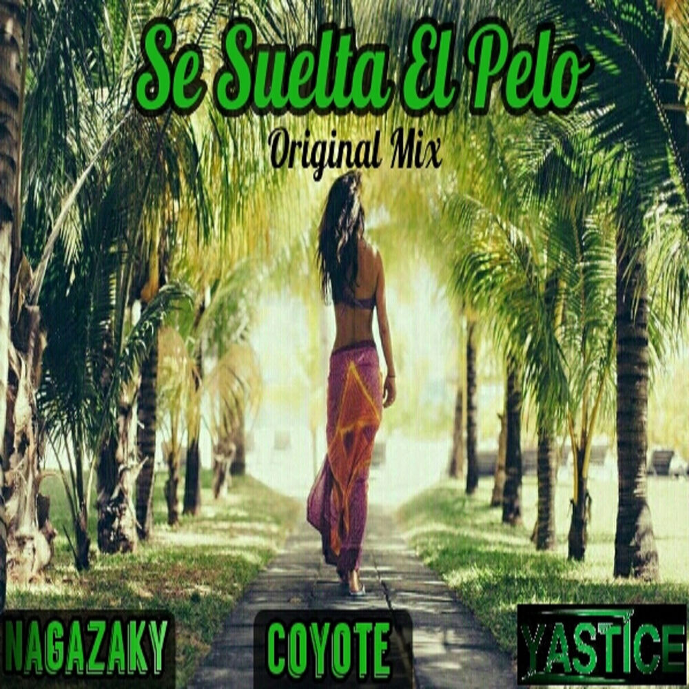 Picture of Se Suelta el Pelo (Original Mix)