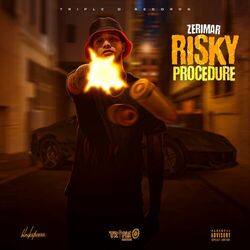 Cover of Risky Procedure