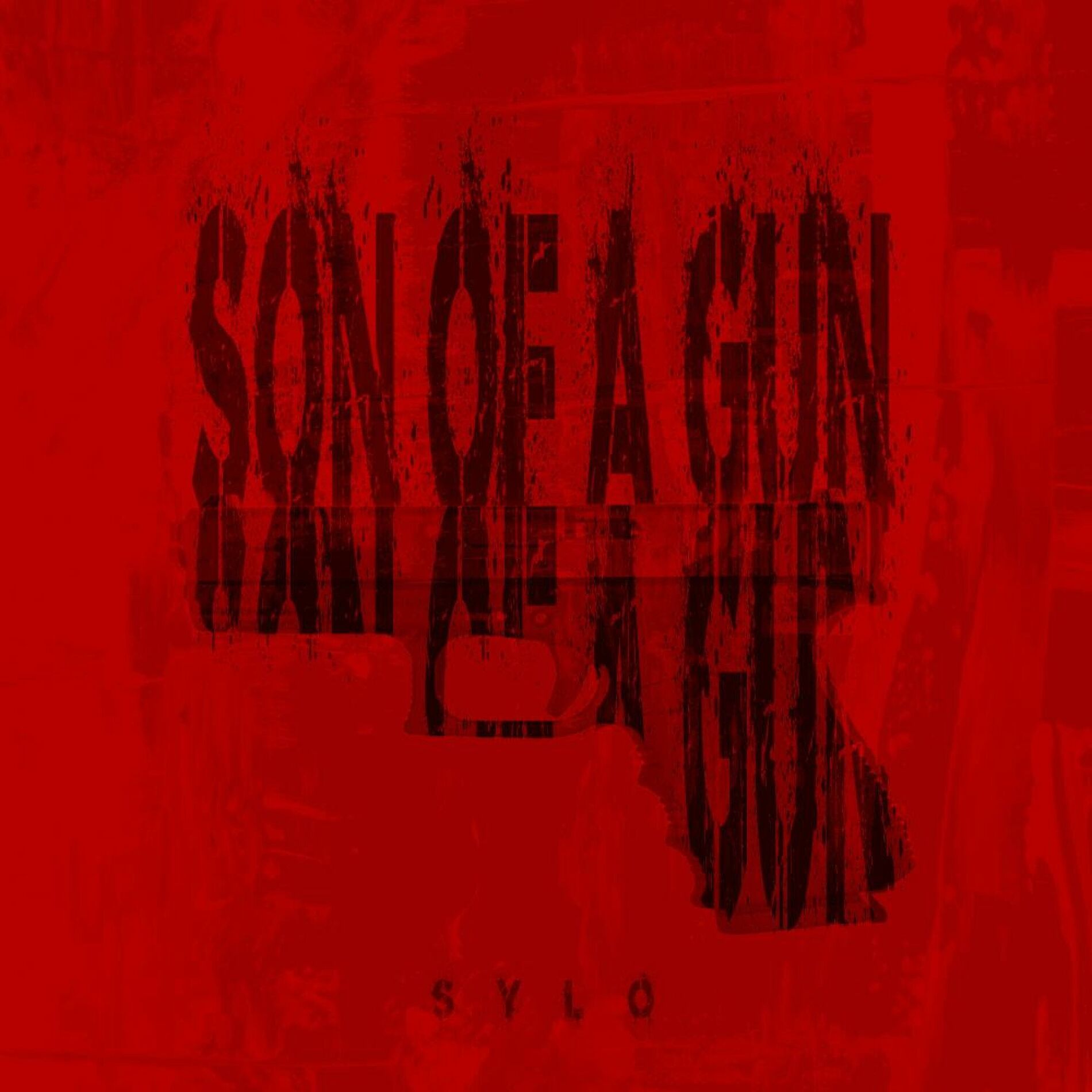 Album cover of SON OF A GUN