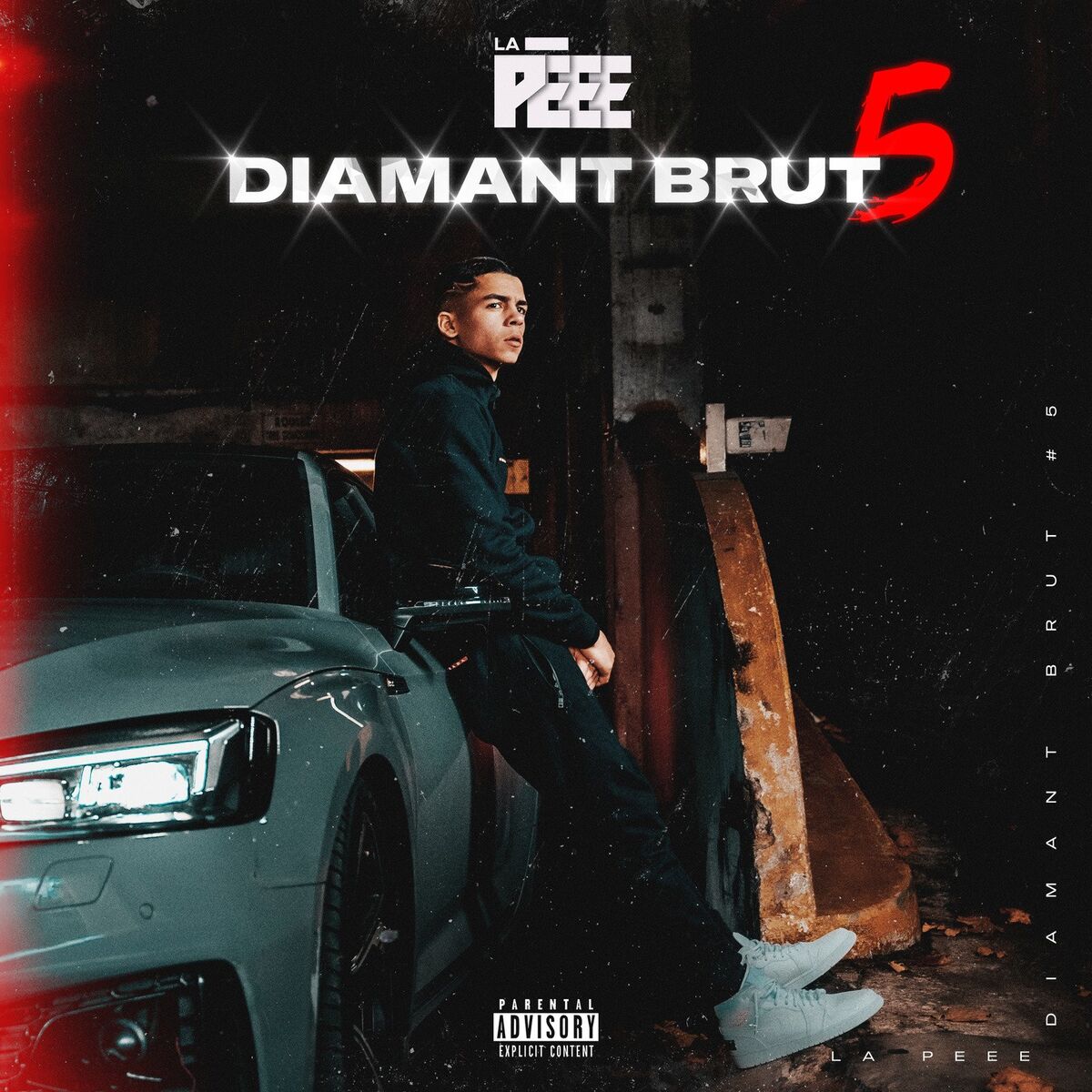 Album cover of Diamant Brut 5