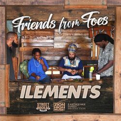 Cover of Friends From Foes