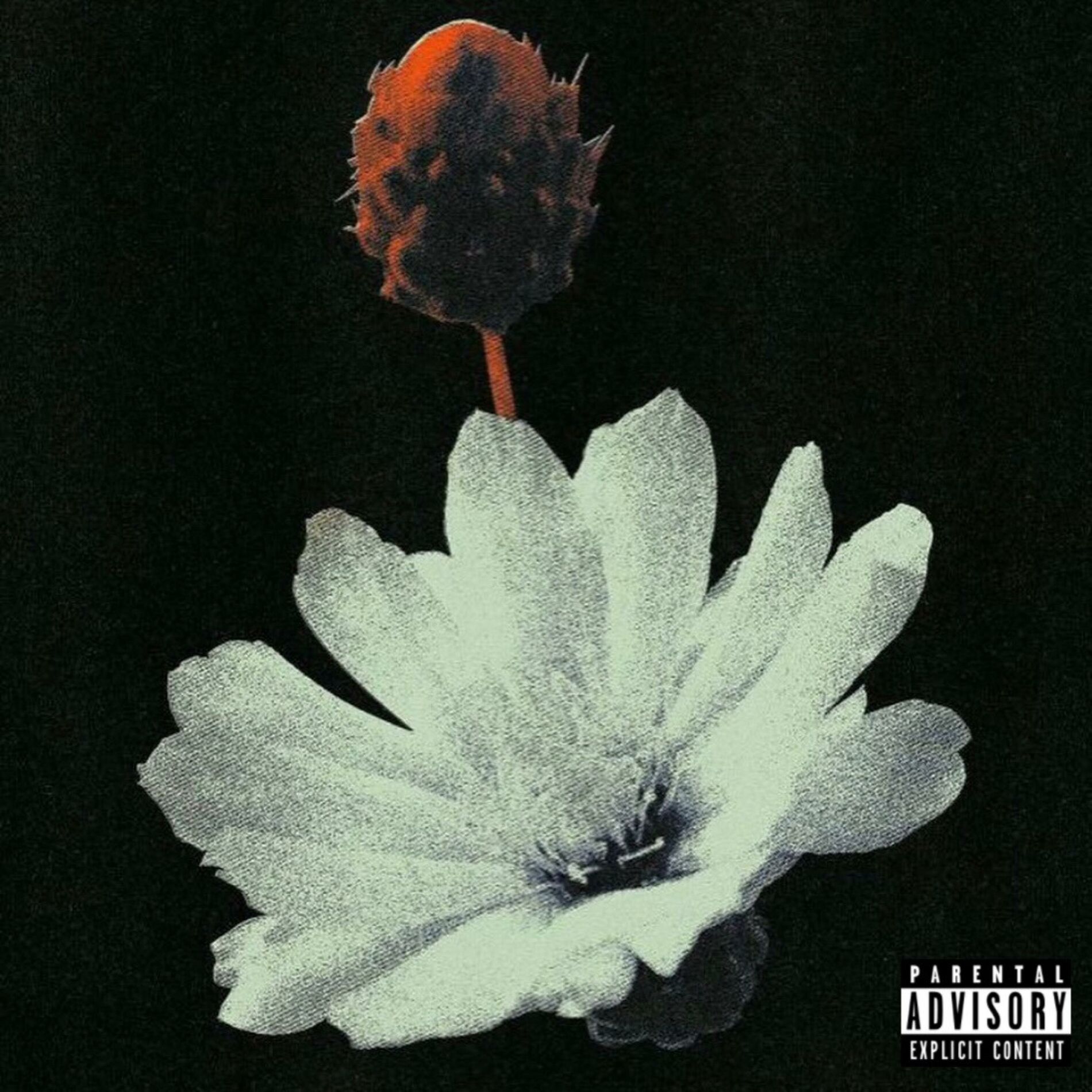 Album cover of DAYBREAK (feat. Yenn)