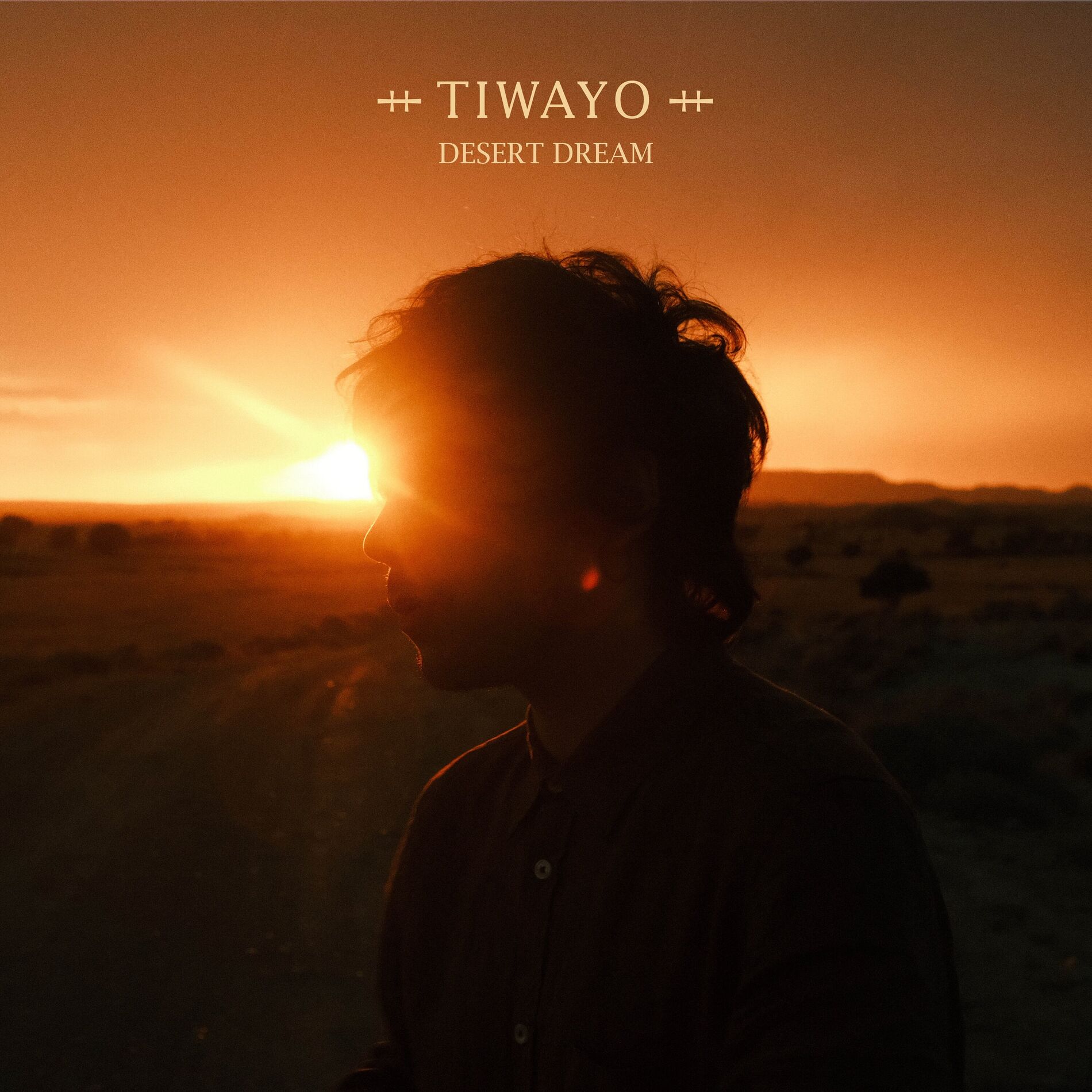 Album cover of Lost In The Sun