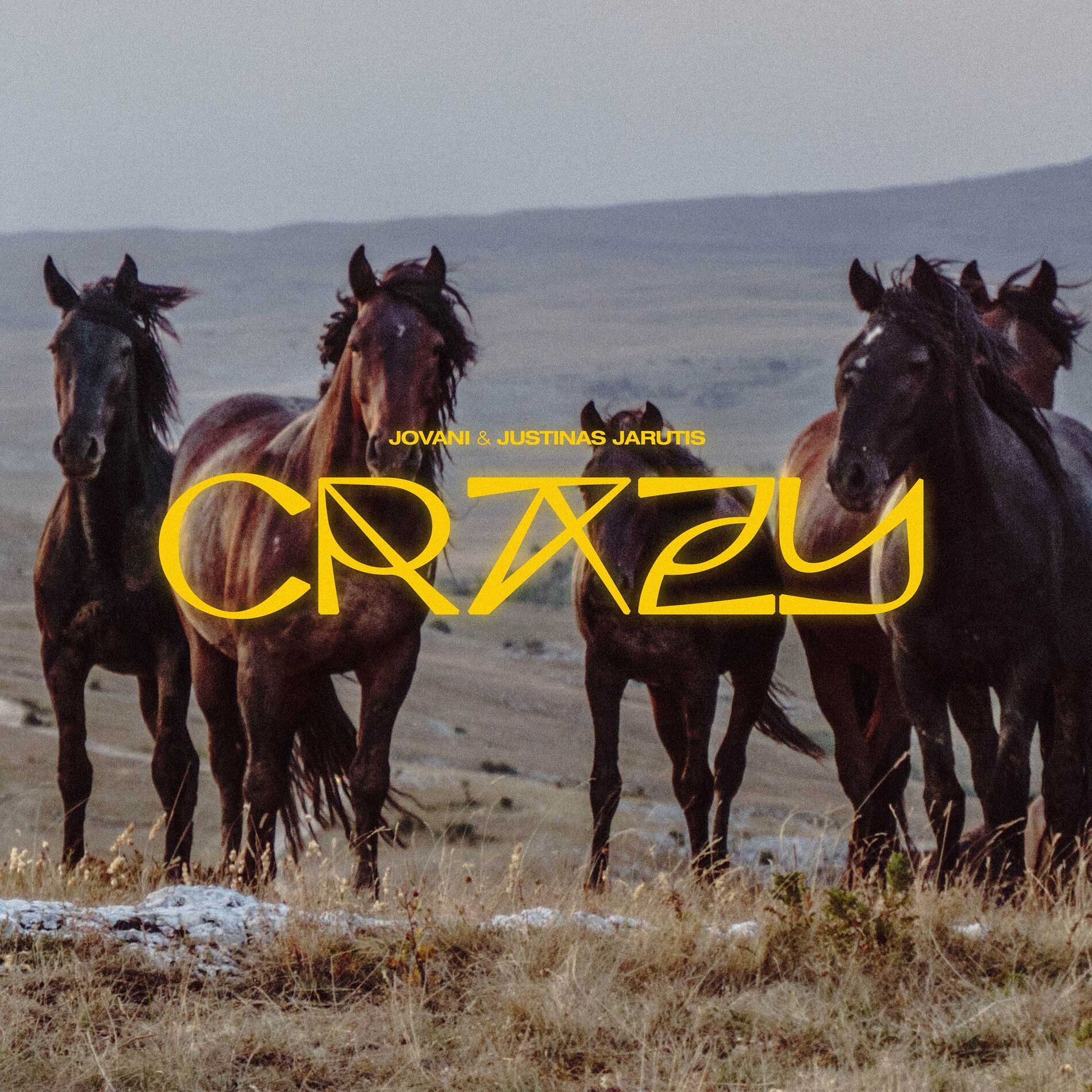 Album cover of Crazy