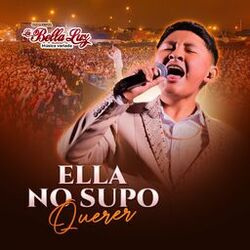 Cover of Ella No Supo Querer