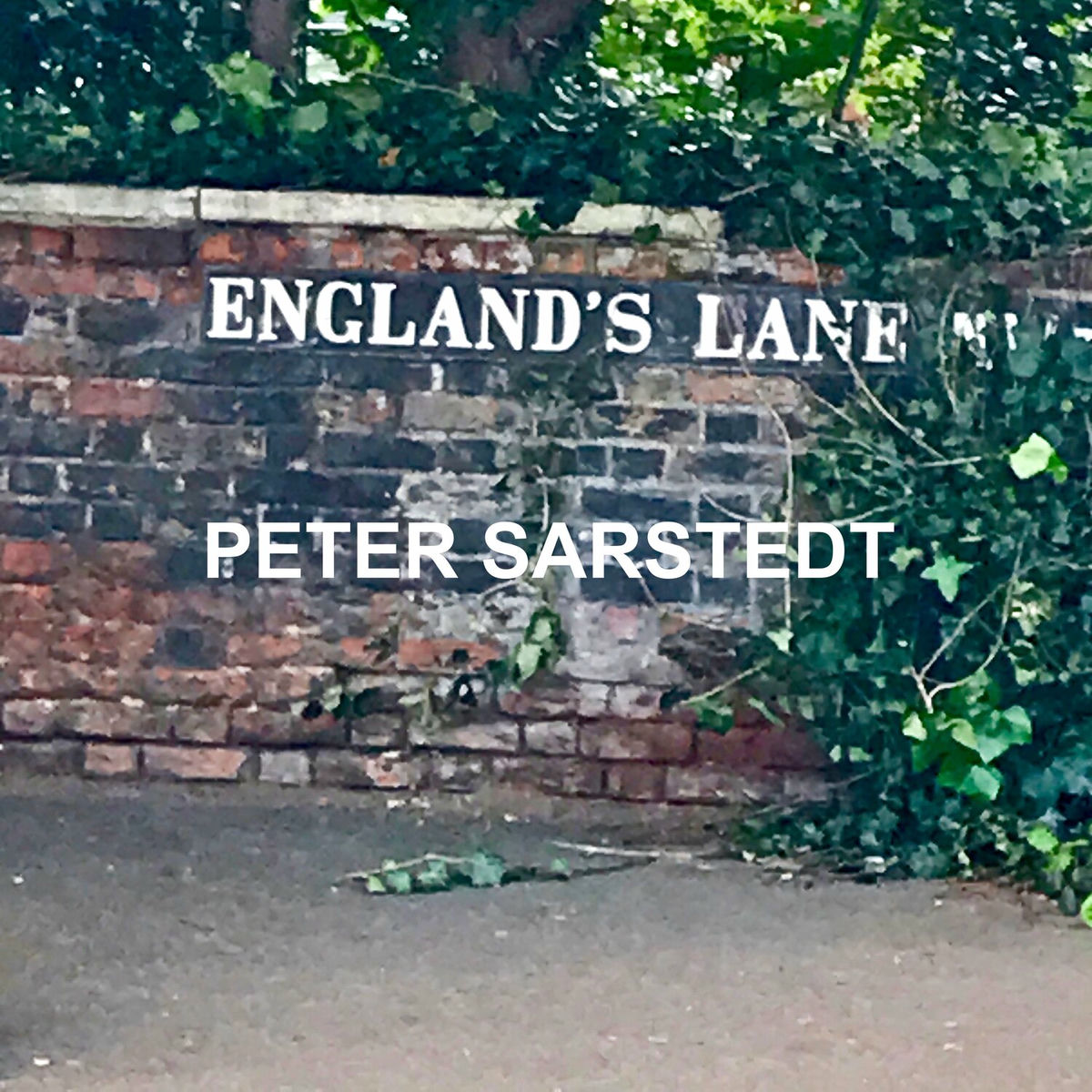 Album cover of Englands Lane (Re-Recording)