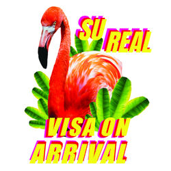 Cover of Visa on Arrival