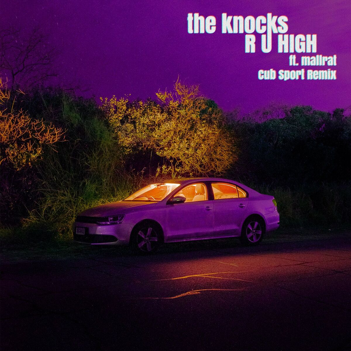 Album cover of R U HIGH (feat. Mallrat) (Cub Sport Remix)