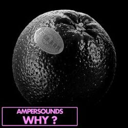 Cover of Why?