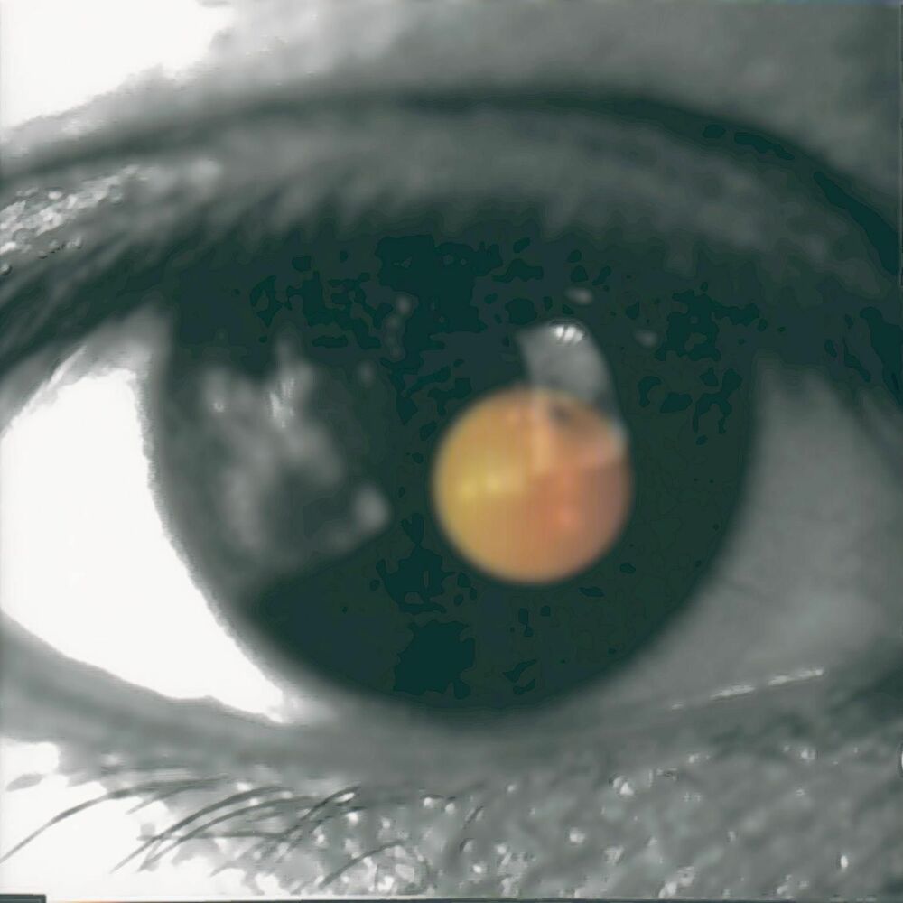 Picture of Black Tangerine