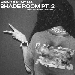 Cover of Shade Room Pt. 2