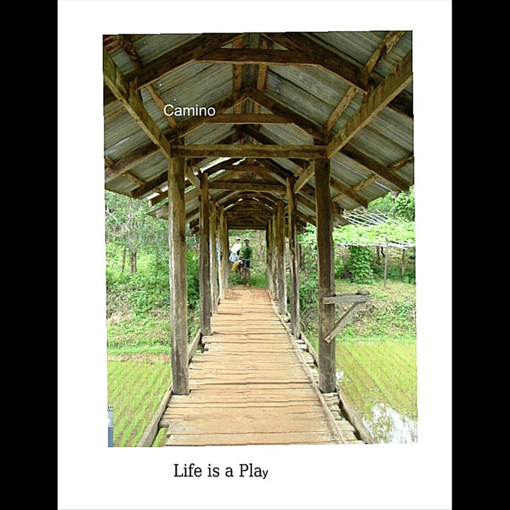 Picture of Life is a Play