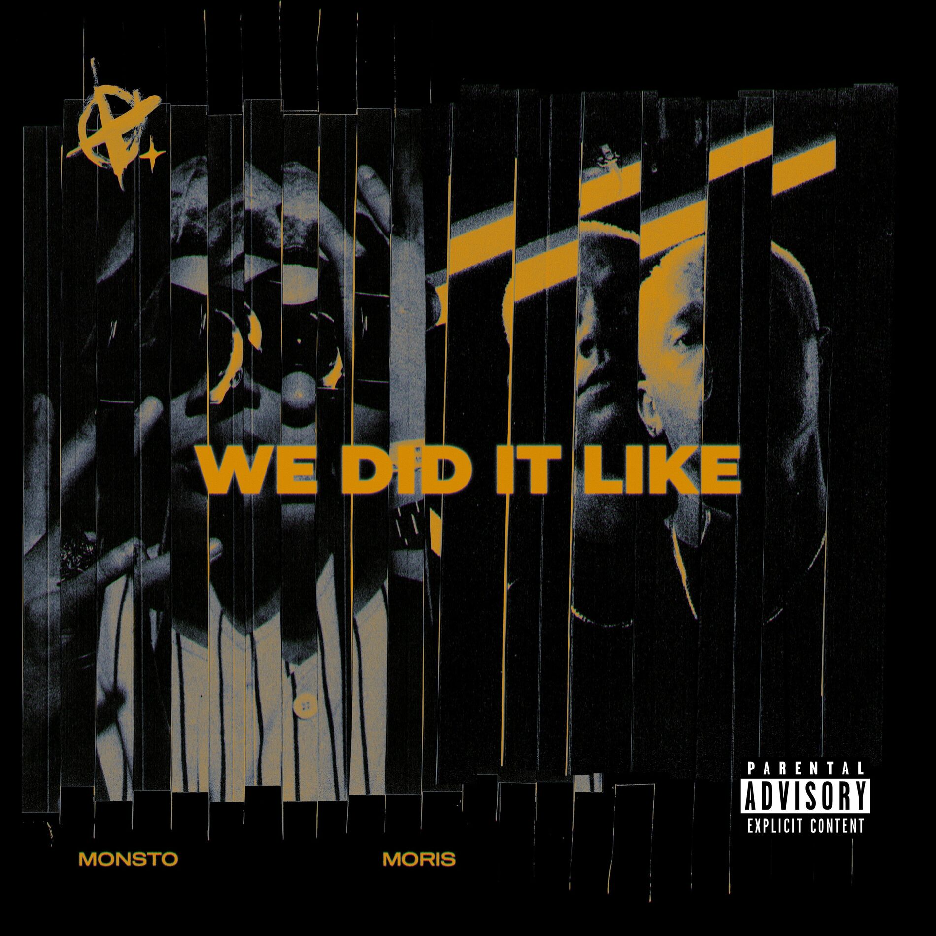 Album cover of WE DID IT LIKE