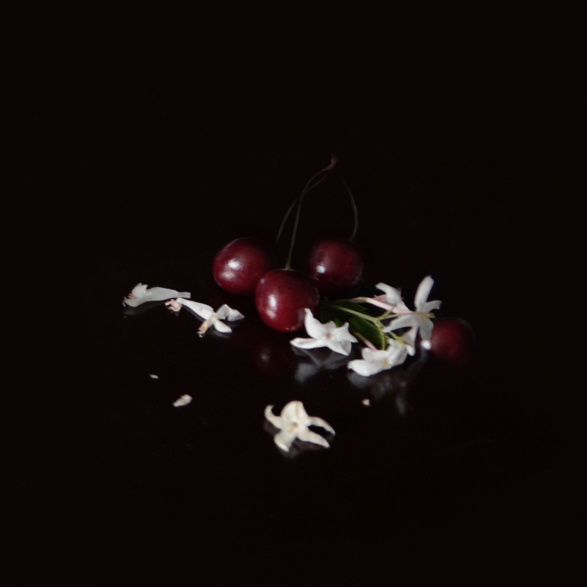 Album cover of One Life : four remixes