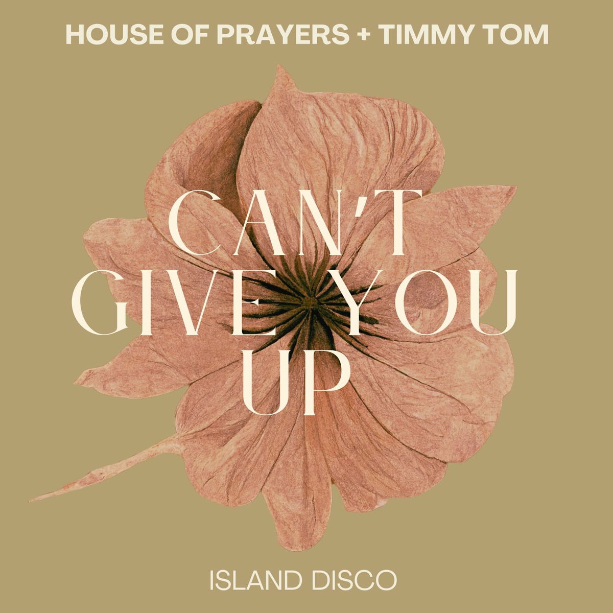 Album cover of Can't Give You Up