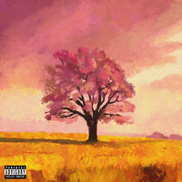 Zxko Dream: albums, songs, concerts | Deezer