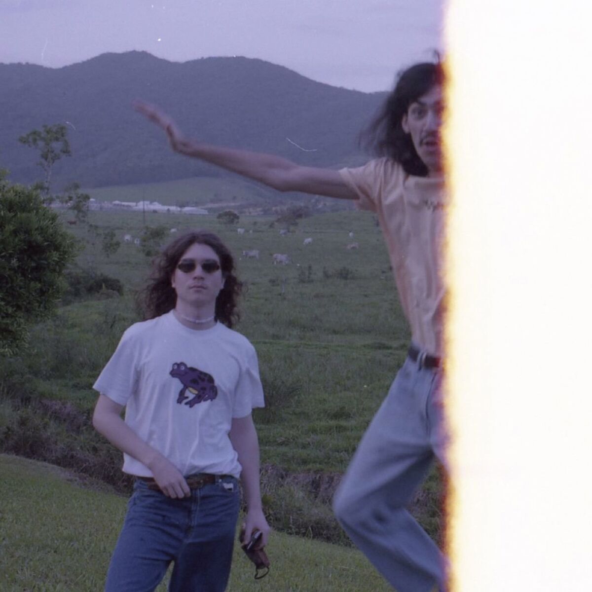 Album cover of Lagartixa Tropical
