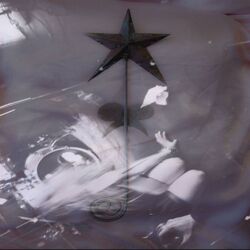 Cover of Private Dreams, Public Nightmares