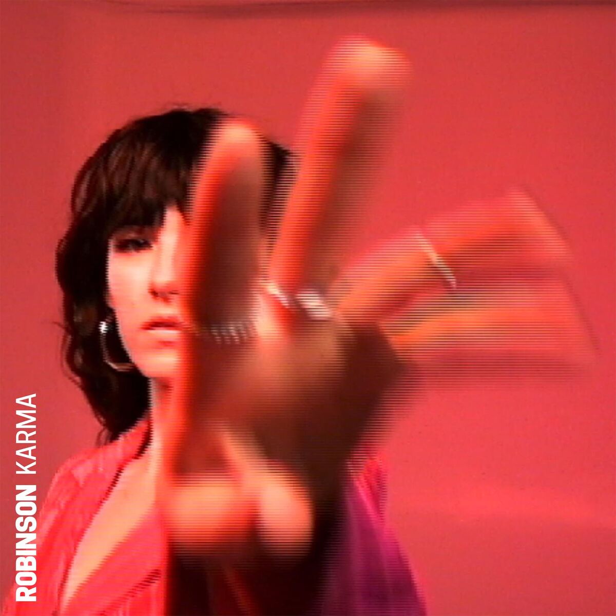 Album cover of Karma