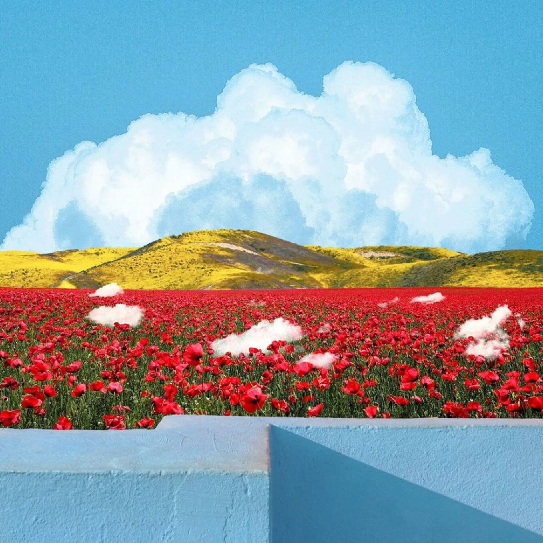 Album cover of The Page