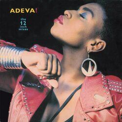 Cover of The 12" Mixes