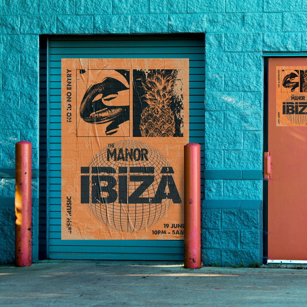 Picture of Ibiza