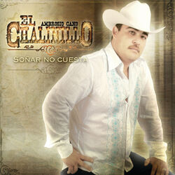 Cover of Soñar No Cuesta