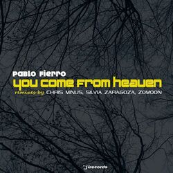 Cover of You Come from Heaven