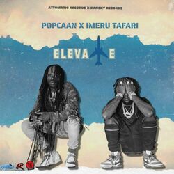 Cover of Elevate (feat. Imeru Tafari)