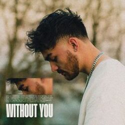 Cover of Without You