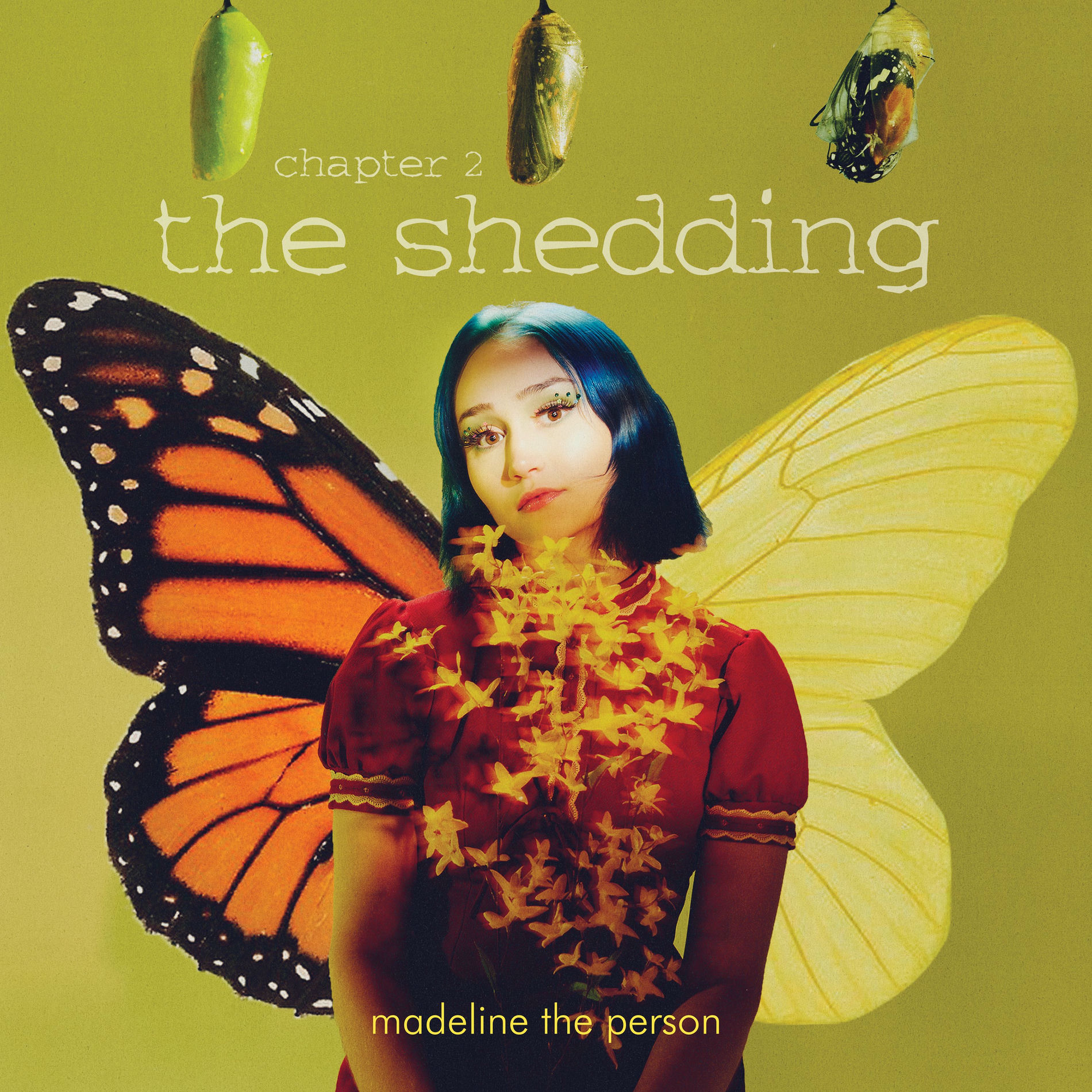 Album cover of Unrecognizable